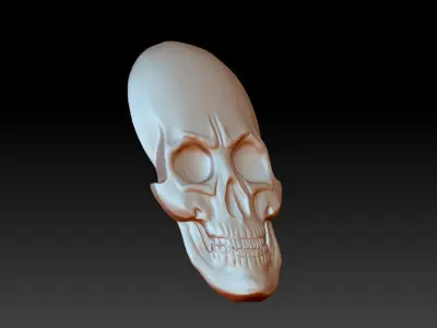 The bas-relief of anatomically correct skulls 3D print model