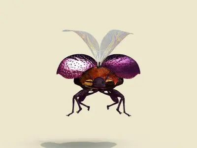Besouro Inseto 3D model