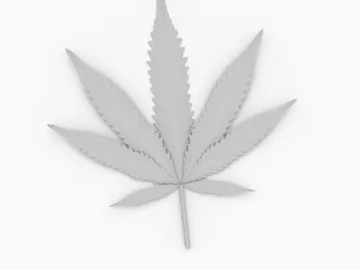 Cannabis Leaf 3D model
