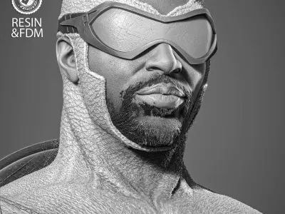 Wicked Marvel Falcon Portrait Bust  3D print model