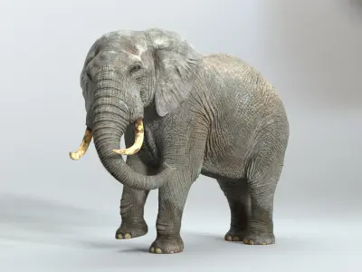  Elephant RIGGED  buy