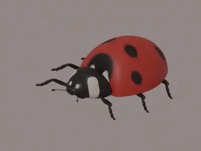 Ladybug 3D model order
