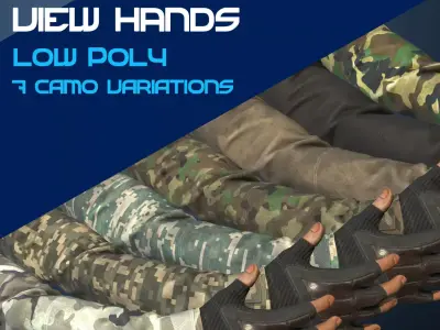 First Person View Hands Low-poly 3D model