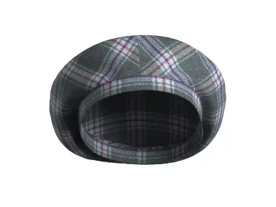 Wool Check Beret 3D model