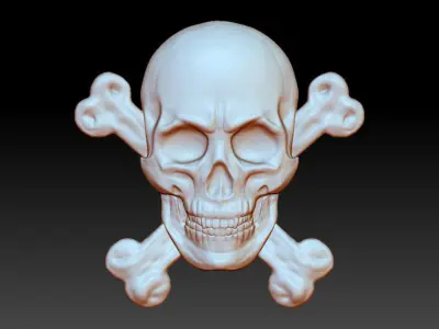 The bas-relief of anatomically correct skulls with the bones 3D print model