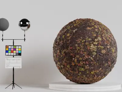 Material Test Studio Free low-poly 3D model