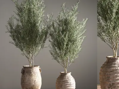 indoor plant set 16 3D model