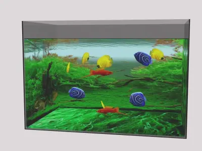 aquarium with fish in it Low-poly 3D model