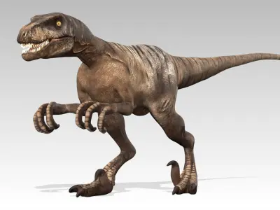 Velociraptor Low-poly 3D model 3