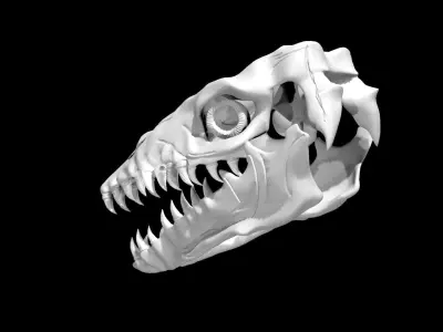 Mosasaurus skull Low-poly 3D model