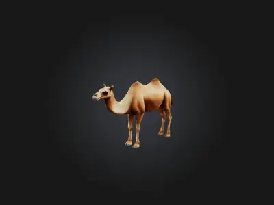 Realistic Camel Model Low-poly 3D model