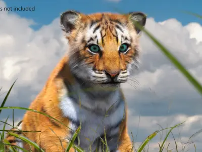 Tiger Cub Fur Rigged 3D model