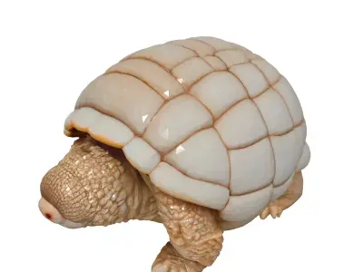 Realistic 3D Tortoise Model Low-poly 3D model purchase