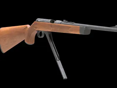 Daisy VL Low Poly Low-poly 3D model