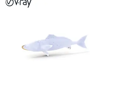 Detailed Fish Model Pack for D Rendering and Animation Low-poly 3D model