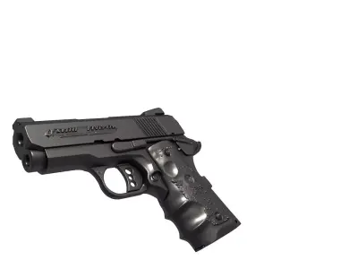 Colt Defender 3D print model