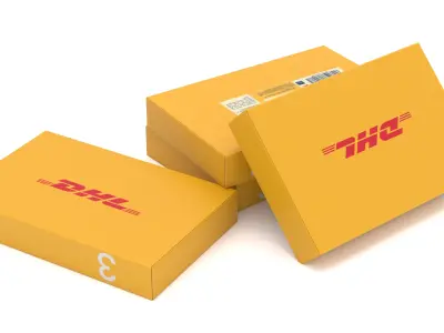 Cardboard Packaging Box DHL 3D model