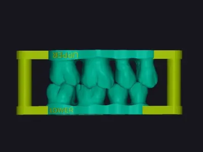 Dental training model Dental Sample model 3D print model 3D print model