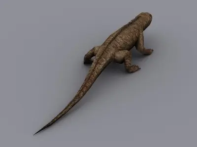 animated reptile lizard Low-poly 3D model