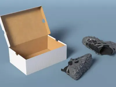 Athletic Footwear with Geometric Structure in Box 3D model