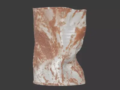 Crushed rusty can 3D model