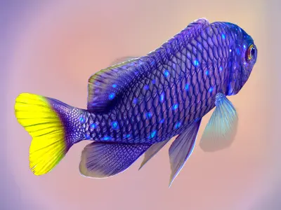 Fish Microspathodon Chrysurus Low-poly 3D model