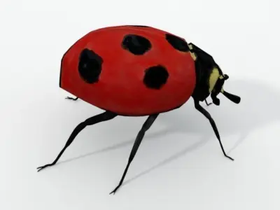 Ladybug Low-poly 3D model buy