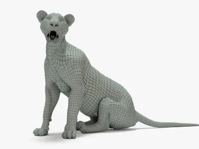 Lioness Rigged Basemesh Low-poly 3D model