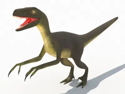 Velociraptor dinosaur 3D model order