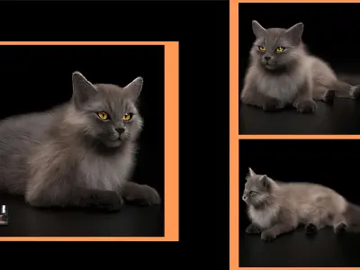 Cat 1 3D model