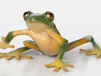 Realistic Tree Frog Rigged for Cinema 4D 3D model