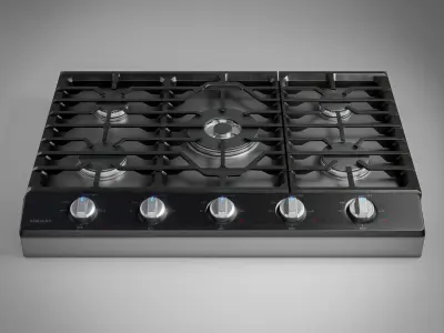 Built-in Gas Cooker 3D model