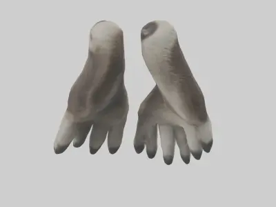 Raccoon Paws Model Low-poly 3D model