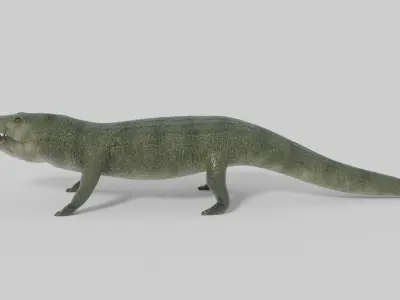 3D Crocodile Model toy alligator Low-poly 3D model