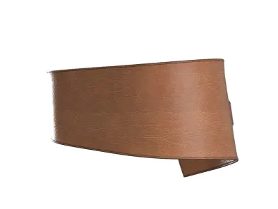 Brown Wide Belt 3D model