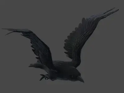 3D Animate Crow Low-poly 3D model