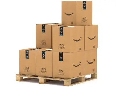 Amazon Cardboard Box with Pallet 3D model