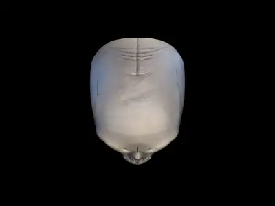 3d Model Skull Mask Human  Head 3D model