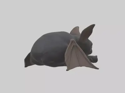 Sleeping Bat Model Low-poly 3D model