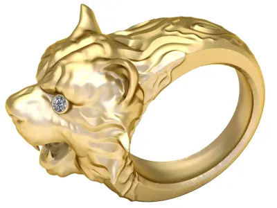 Matching Ring   Earring Set 3D print model