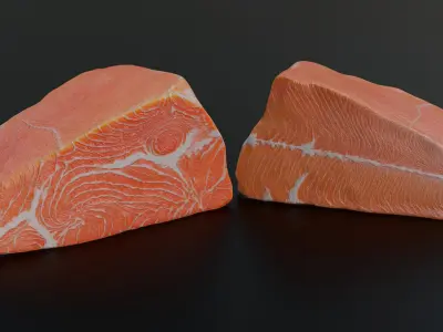 Salmon Fillet 3D model purchase