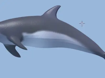 dolphin lowpoly 3D model