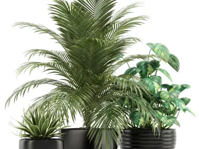 Plants collection 119 3D model