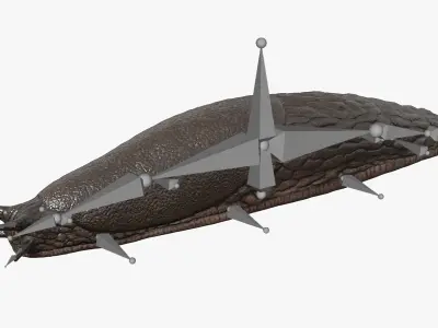  Terrestrial Slug Rigged for Blender 