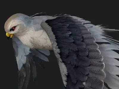 Falcon-A1 3D model