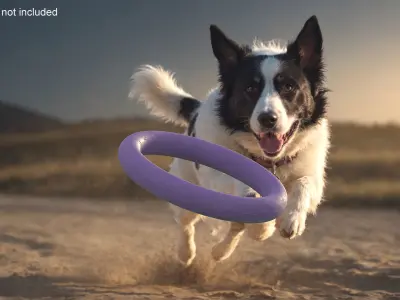 Interactive Dog Toy Puller Midi Package 3D model