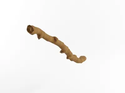 Wooden Stick Branch Staff Low Poly Game Ready asset 3D model 2 Low-poly 3D model