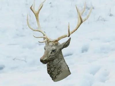 Deer Head Low-poly 3D model