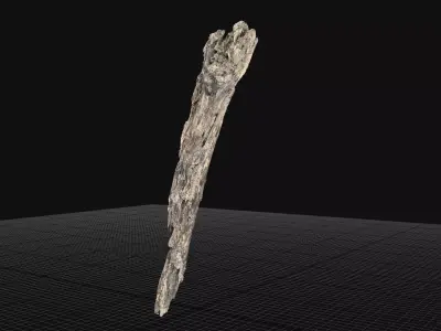 Dry Old Tree trunk wood 3d scan highpoly 3D model