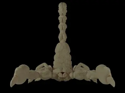Scorpion Model 3D print model